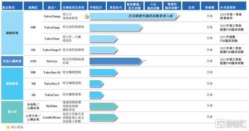 二尖瓣介入治疗领域先驱捍宇医疗港股IPO，资本聚焦医疗器械创新赛道